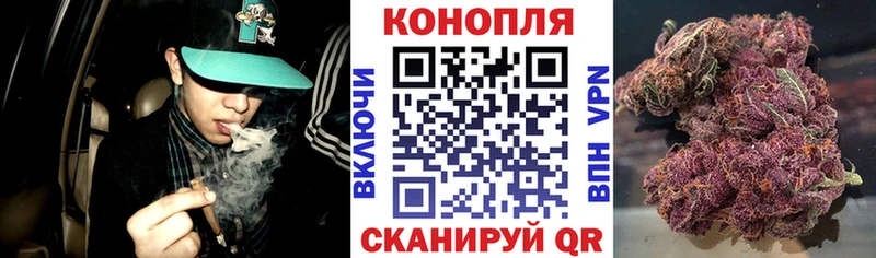 Виды наркотиков купить Певек Гашиш  Канабис  Галлюциногенные грибы  Мефедрон 