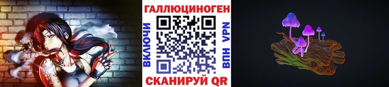 kraken зеркало  Певек  Псилоцибиновые грибы мицелий 
